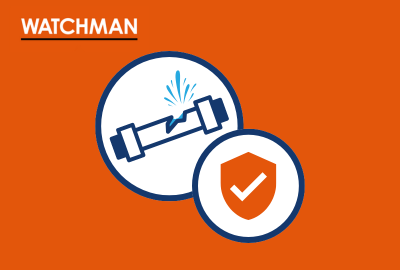 CMS Watchman 3 Ways to Protect Unoccupied Probate Properties from Water Damage