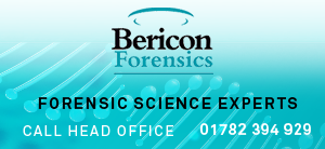 Bericon logo