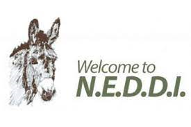 NEDDI