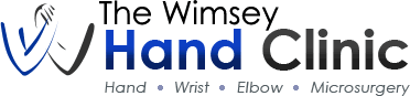 The Wimsey Hand Clinic logo